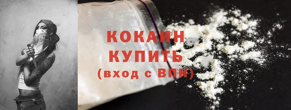 индика Пересвет