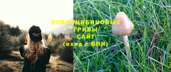 скорость Абаза