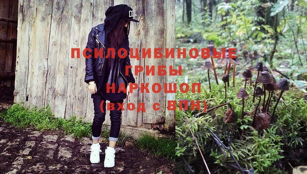 дмт Абинск