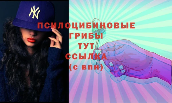 индика Пересвет