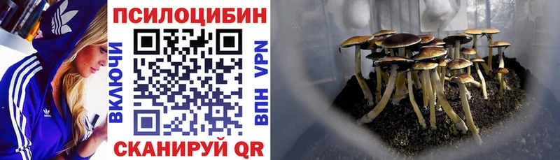 купить наркоту  Людиново  Галлюциногенные грибы мухоморы 