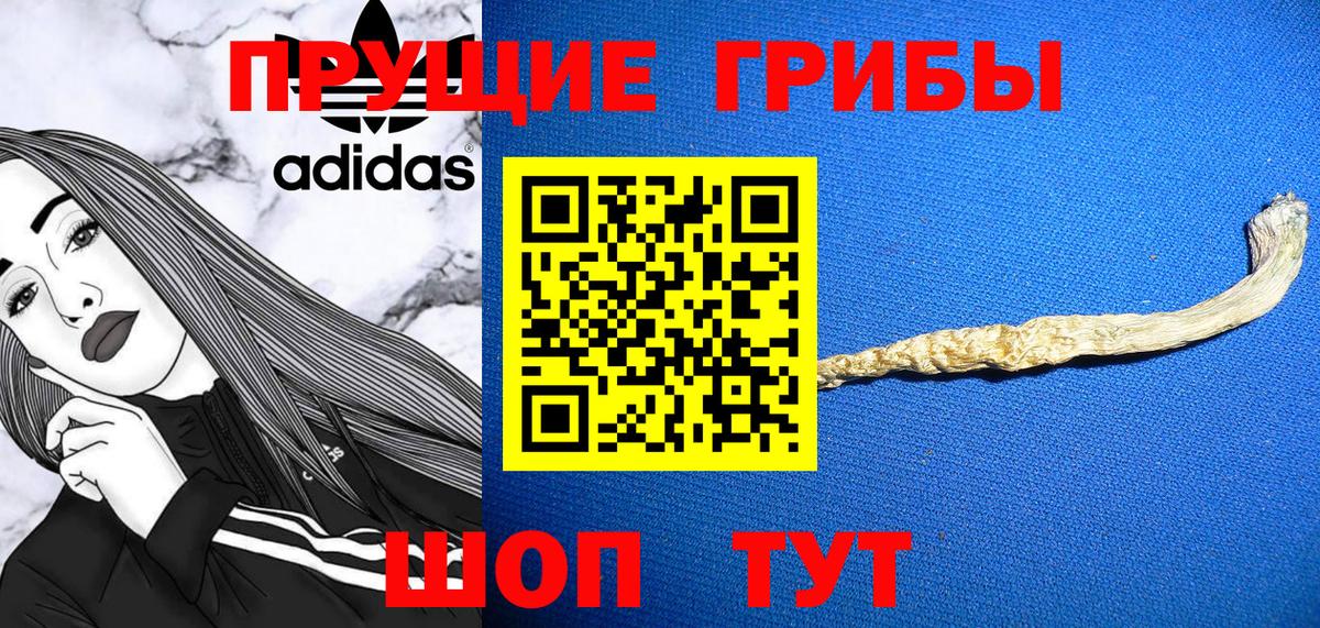 Людиново  Галлюциногенные грибы Psilocybe  как найти закладки  Вход с VPN 